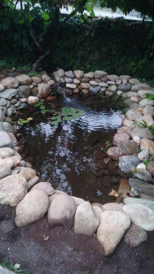 Casa Do Adro-Passadicos Do Paiva Arouca Villa Ngoại thất bức ảnh