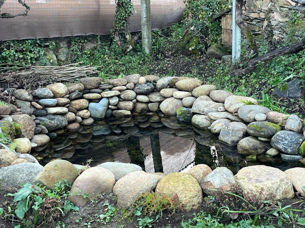 Casa Do Adro-Passadicos Do Paiva Arouca Villa Ngoại thất bức ảnh