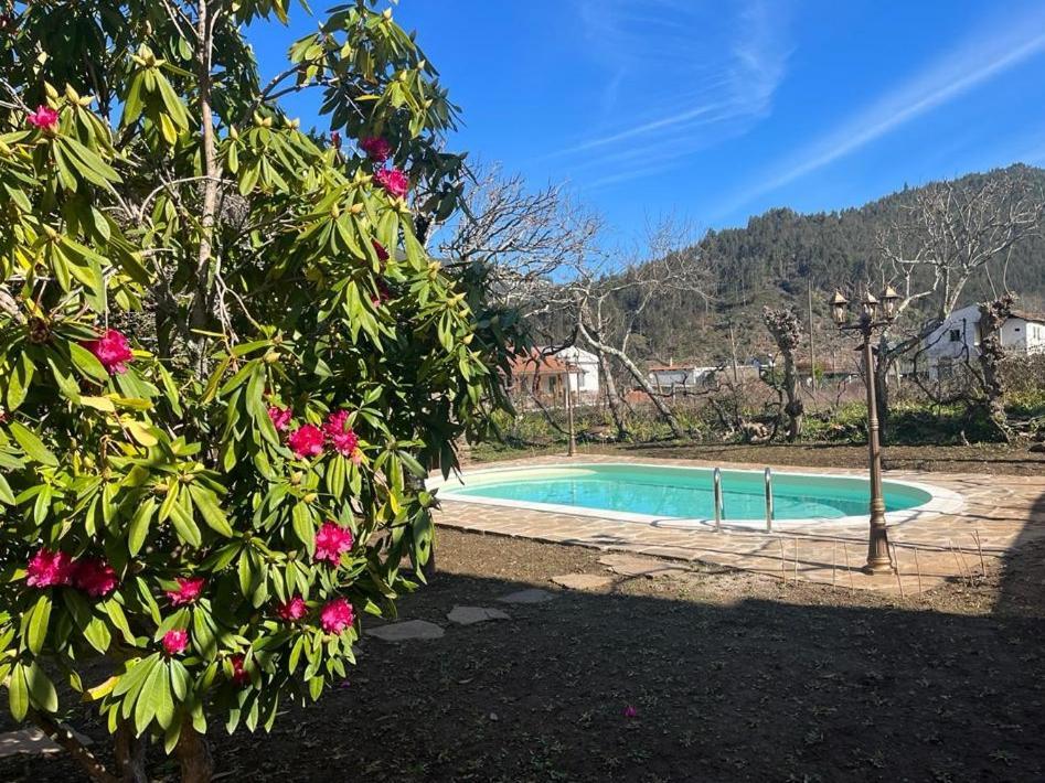 Casa Do Adro-Passadicos Do Paiva Arouca Villa Ngoại thất bức ảnh